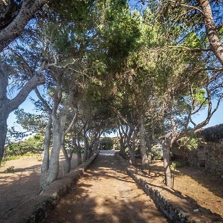 Dammuso I Pini Di Kaddiuggia Villa Campobello ภายนอก รูปภาพ