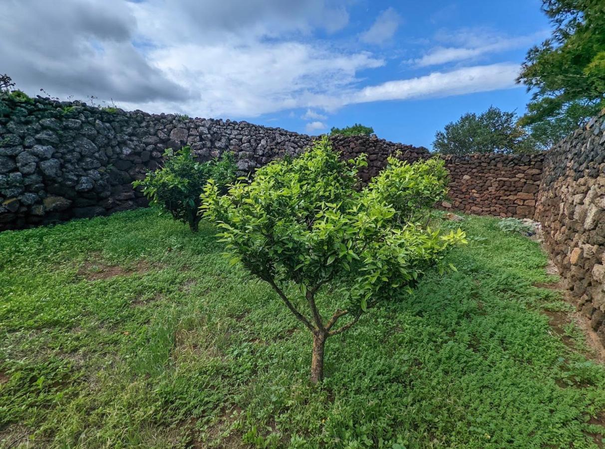 Dammuso I Pini Di Kaddiuggia Villa Campobello ภายนอก รูปภาพ
