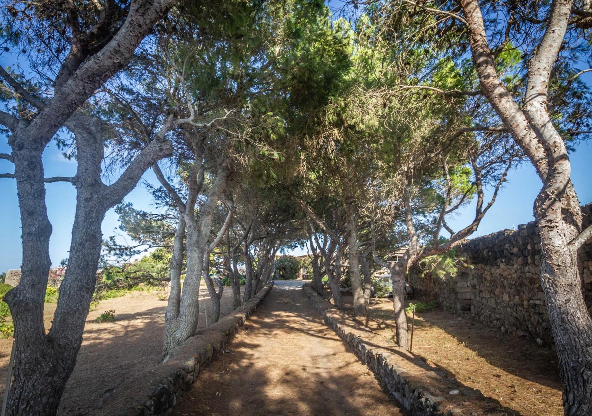 Dammuso I Pini Di Kaddiuggia Villa Campobello ภายนอก รูปภาพ